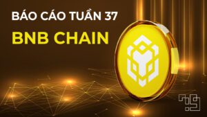 Bnb Chain T37 Web