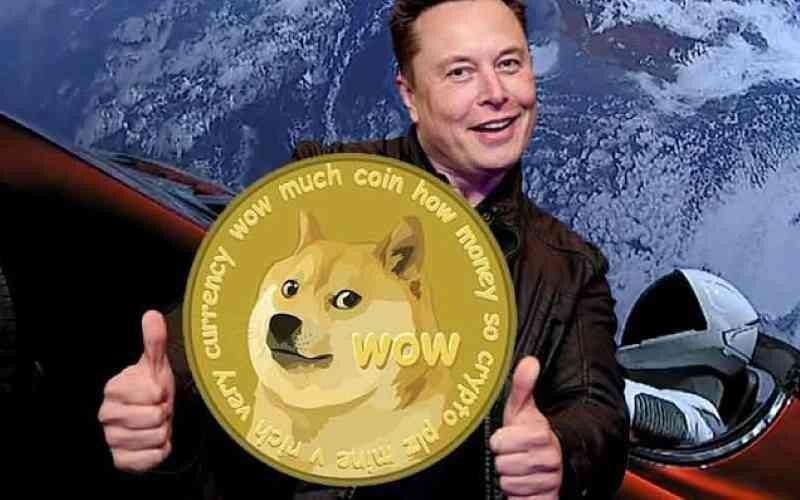 Elon Musk bày tỏ sự yêu thích với Dogecoin