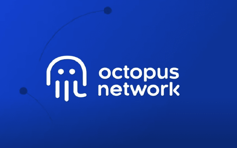 Octopus Network (OCT) là gì