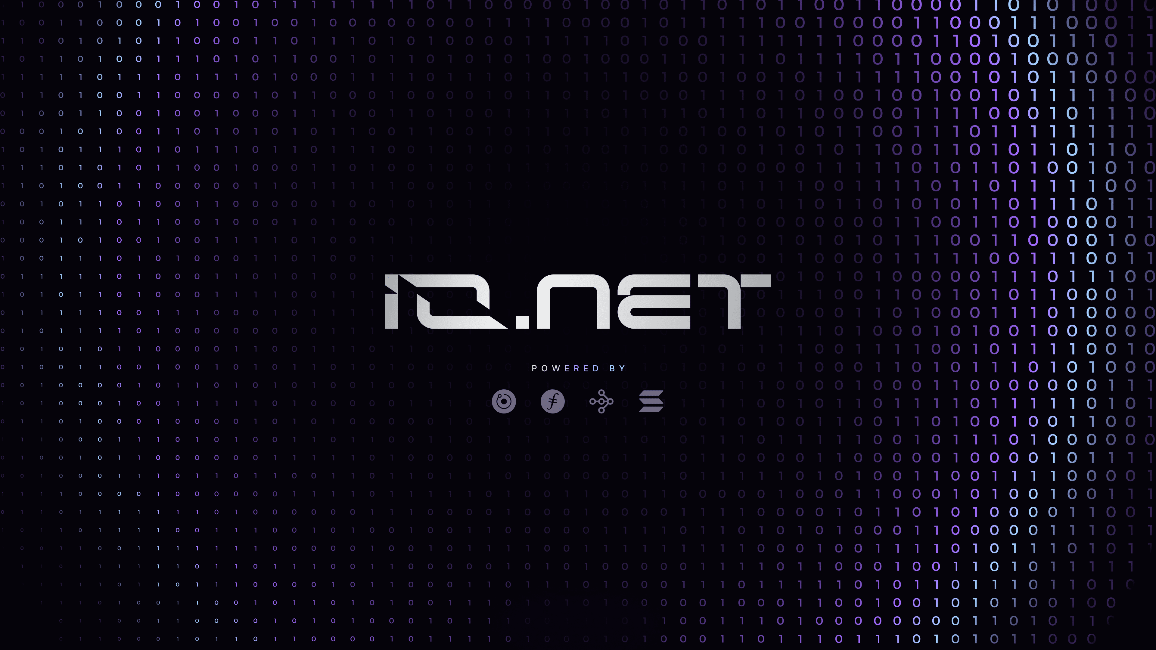 Io.net cover